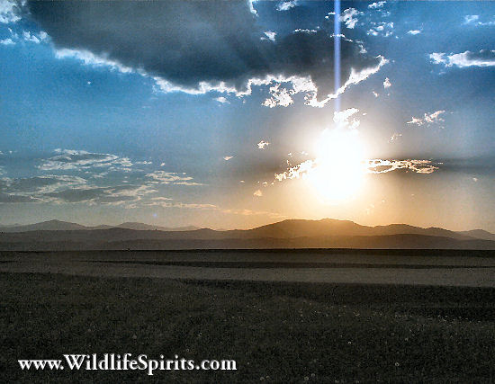 Click Picture to send as an  E-PostCard 53k 550x427